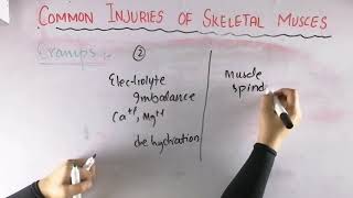 Cramps  Common injuries of skeletal muscle  Biomechanics of skeletal muscle [upl. by Hplar351]