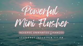 ♬ Powerful Flusher  Reverse Unwanted Changes Blockage Removal 417Hz  Relaxing Ambient Music [upl. by Irep834]