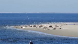 Borkum 2018 Urlaub an der Nordsee 0705  110518 [upl. by Dnalwor293]