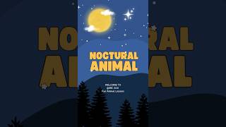 Top 10 Nighttime Wonders Amazing Nocturnal Animals animals animalfacts wildlife [upl. by Oijile]