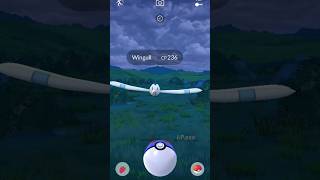 Fresh morning 🌅 every one 🕐 wingull new pokemon fly type character shots video [upl. by Salohcin]