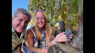 Wine Tasting in Temecula Valley CA [upl. by Stroud]