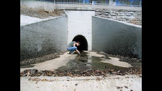 Storm Drain Pollution [upl. by Htirehc]