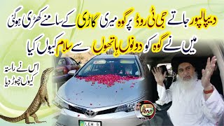 Allama Hafiz Khadim Hussain Rizvi  Dipalpur Jate Goh Meri Car Ke samne A gai  Goh Ko Salam HD [upl. by Leo]