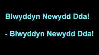 learning Welsh quothow to say HAPPY NEW YEARquot in Welsh [upl. by Nanerb836]