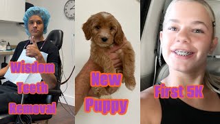 Rhett Gets His Wisdom Teeth Surgery  Puppy Shopping and Reese’s first 5K Run  The LeRoys [upl. by Octave]