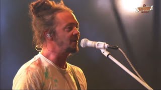 Soja  Live at Encontros das Tribos São Paulo Brasil 2022 Full Concert [upl. by Fadil421]