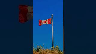 The Canadian Flag From The Coast shorts saxepoint esquimalt springtime [upl. by Senecal]