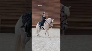 Inrijden op Horse Event 🐴 [upl. by Cirdla]