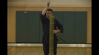 Sensei McCartney World Record Attempt  4 cuts 1 target [upl. by Niwled670]