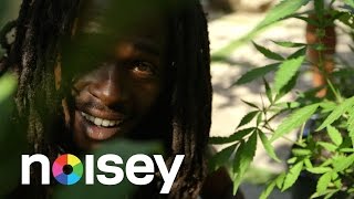 NOISEY JAMAICA レゲエ新世代の逆襲 ③ JESSE ROYAL [upl. by Freytag]