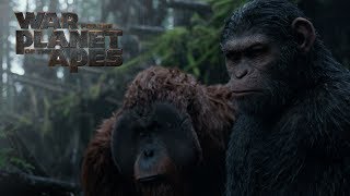 KINGDOM OF THE PLANET OF THE APES Trailer 2024 [upl. by Juli]