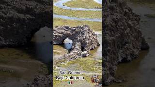 San Quintín Baja California 🇲🇽 playa fishing viralvideo youtubeshorts pesca sanquintin [upl. by Ahsinroc434]