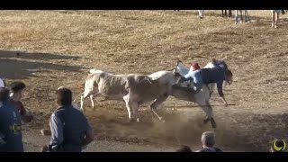 Primer Encierro de Olmedo 2024 [upl. by Gorrian893]