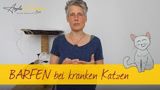 BARFen bei kranken Katzen 📌 [upl. by Shig]