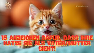 15 Anzeichen dafür dass Ihre Katze Sie als VaterMutter sieht [upl. by Meter]