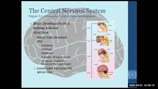 Biopsychology Chapter 3 Part 1 [upl. by Johns]