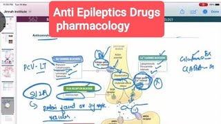 Antiepileptic drug pharmacology part 1 neurology 155  First Aid USMLE Step 1 in UrduHindi [upl. by Yenittirb]