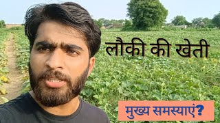 लौकी की खेती Bottle gourd  Field visit  BY KRASHNA SIR [upl. by Akinirt335]