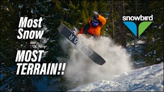 BEST POSSIBLE OPENING DAY CONDITIONS   Snowbird 2022 23 [upl. by Diane]