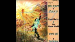 Yosef Karduner  Hashem Melech [upl. by Drofhsa]