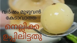 Nellika Uppilittathu  വർഷം മുഴുവൻ കേടുകൂടാതെ ഇരിക്കുന്ന നെല്ലിക്ക ഉപ്പിലിട്ടതു Salted Gooseberry [upl. by Paulette]