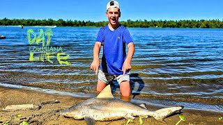 Shark Infested Waters  Atchafalaya River Sandbar [upl. by Adnilym757]