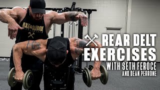 Rear Delt Exercises with Seth Feroce [upl. by Atsirk]