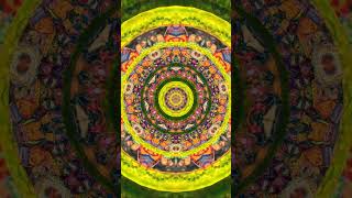 computerarts kaleidoscope kaleidoscopic psychedelicart digitalart trippyart trippyartist [upl. by Cherian]