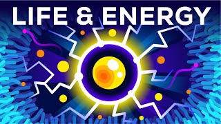 Why Are You Alive – Life Energy amp ATP [upl. by Roos]