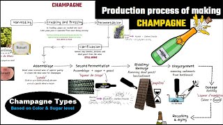 Champagne making process  champagne vs sparkling wine  How to make sparkling wine [upl. by Yerffe]