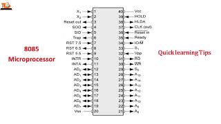 8085 Microprocessor Pin Diagram in 2 minutes Guaranteed Learn ShortcutTrick [upl. by Sheline]