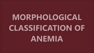 MORPHOLOGICAL CLASSIFICATION OF ANEMIA [upl. by Luz]