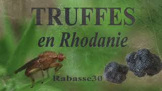 TRUFFES en Rhodanie [upl. by Ginsburg441]