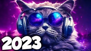 MÚSICA ELETRÔNICA 2023 🔥 ELETRÔNICAS 2023 MAIS TOCADAS 🔥 Alok Vintage Culture amp David Guetta [upl. by Yhtomit452]