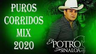 PUROS CORRIDOS MIX 2020  El Potro De Sinaloa [upl. by Ahsiloc]