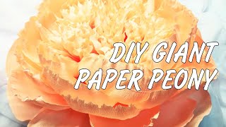 Giant crepe paper flowers tutorial  Giant paper peony diy [upl. by Vtehsta]