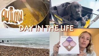 DAY IN THE LIFE OF A UK SAHM  TOO GOOD TO GO GREGGS MAGIC BAG  MARKS CURRY  WALKS [upl. by Reemas206]