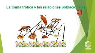 Seminario NÂ° 2 Ecosistema y Agroecosistema Parte 1 [upl. by Rollins84]