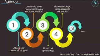 Neuropsicología y Educación [upl. by Creedon51]