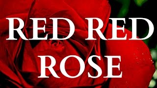 ♫ Scottish Music  My Love Is Like A Red Red Rose LYRICS ♫ [upl. by Tamarra]