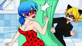 The Love Story What happened to Lady Bug x Chat Noir 3  Miraculous Animation [upl. by Acirne178]