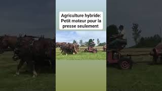 Agriculture hybride petit moteur pour la presse seulement les chevaux font le reste [upl. by Adnahsed]