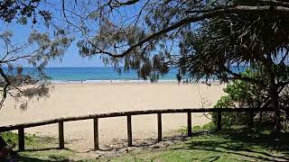 Nature at its finest 😀 Noosa Heads QUEENSLAND AUSTRALIA 🇦🇺 [upl. by Slrahc]