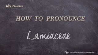 How to Pronounce Lamiaceae Real Life Examples [upl. by Apfelstadt]