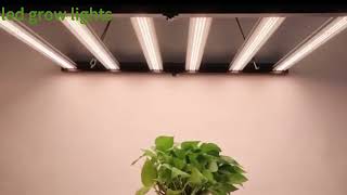 640w 800w 1000w 1200w 1500W Dimmable Led Grow Lights 1000w Full Spectrum For Indoor Plants [upl. by Enilrac]