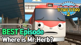 TITIPO S2  Where is MrHerb  BEST episode  EP12 [upl. by Yetnom668]