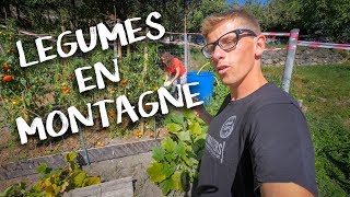 JARDIN ET EXTERIEUR  Passion Rénovation Ep23  potager legumes [upl. by Bren]