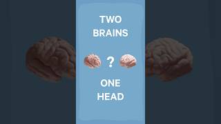 The shocking results of Split Brain Experiment [upl. by Elleinaj]