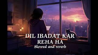 DIL IBADAT KAR REHA HA  Slowed and reverb  Lofi songs 💖 [upl. by Cardinal]